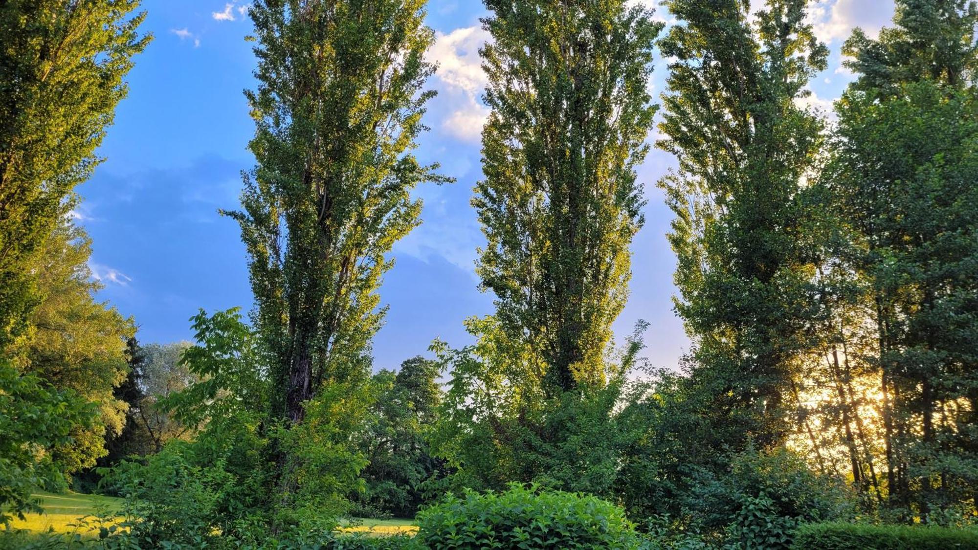 Villa Blu Sankt Kanzian am Klopeiner See Extérieur photo